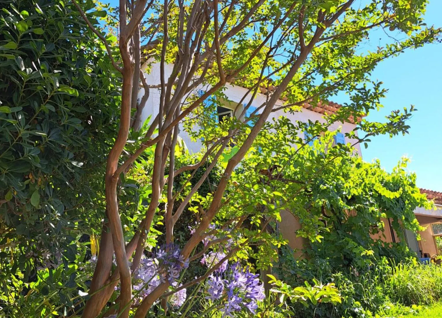 Les Oliviers Apartment Valbonne Homestay